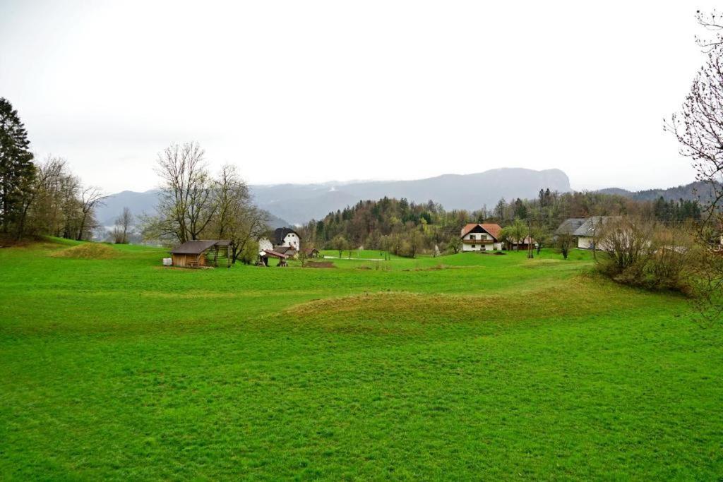 Studio Erzen Zgornje Gorje Kültér fotó